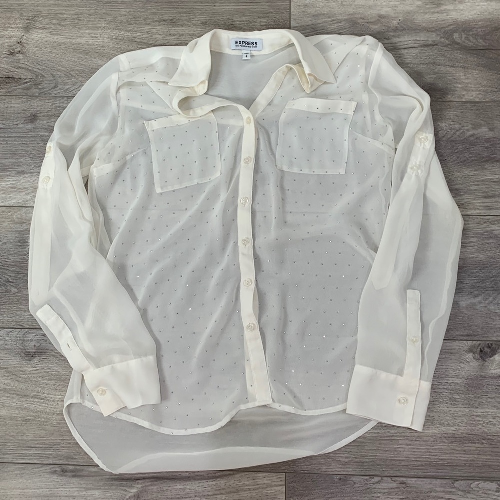 Express Portofino Sheer Blouse
